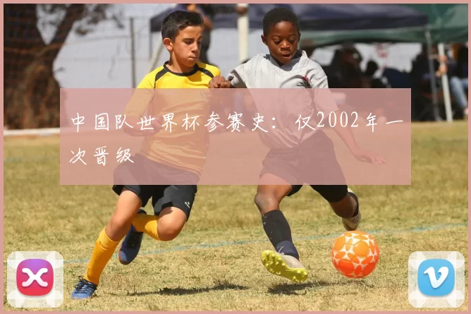 中国队世界杯参赛史:仅2002年一次晋级