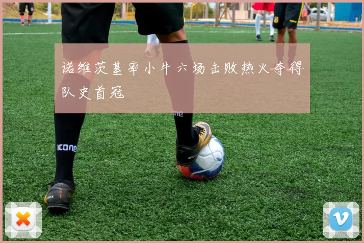 诺维茨基率小牛六场击败热火夺得队史首冠