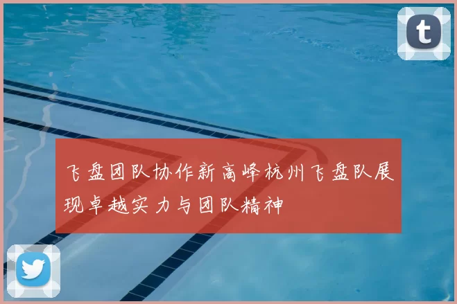 飞盘团队协作新高峰杭州飞盘队展现卓越实力与团队精神