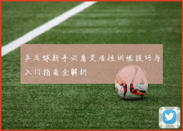 乒乓球新手必看灵活性训练技巧与入门指南全解析