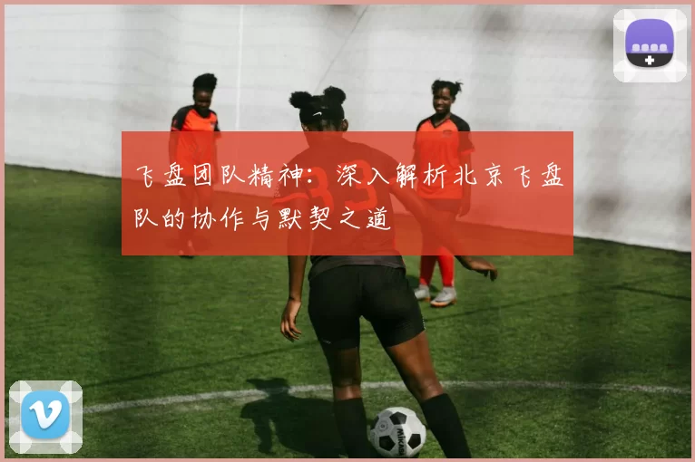 飞盘团队精神：深入解析北京飞盘队的协作与默契之道