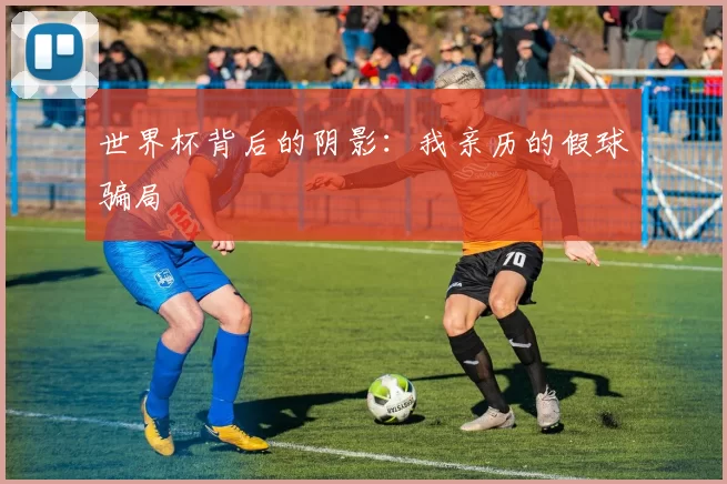 世界杯背后的阴影：我亲历的假球骗局