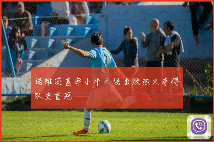诺维茨基率小牛六场击败热火夺得队史首冠