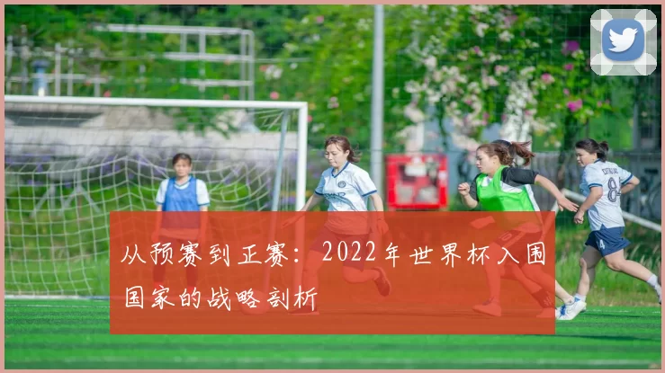 从预赛到正赛:2022年世界杯入围国家的战略剖析