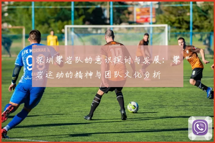 深圳攀岩队的意识探讨与发展:攀岩运动的精神与团队文化分析