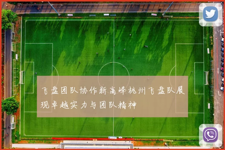 飞盘团队协作新高峰杭州飞盘队展现卓越实力与团队精神