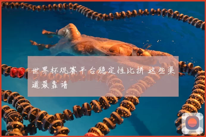 世界杯观赛平台稳定性比拼 这些渠道最靠谱