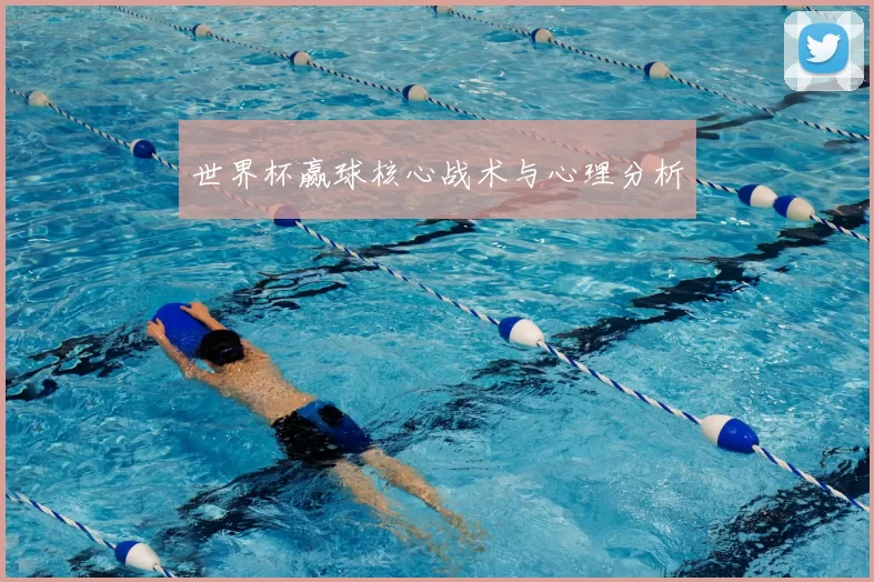 世界杯赢球核心战术与心理分析