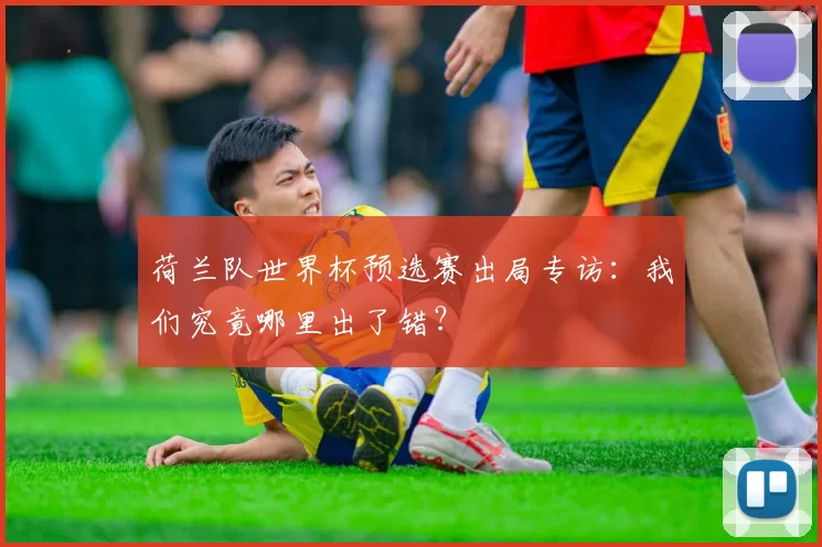 荷兰队世界杯预选赛出局专访:我们究竟哪里出了错?