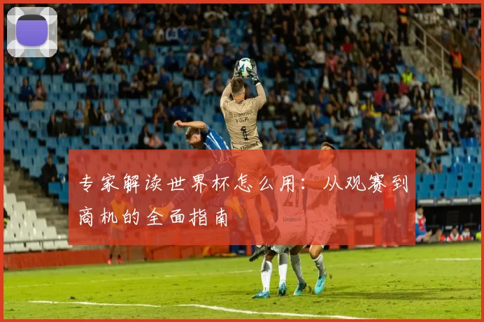 专家解读世界杯怎么用:从观赛到商机的全面指南