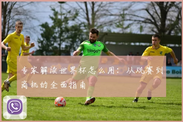 专家解读世界杯怎么用:从观赛到商机的全面指南