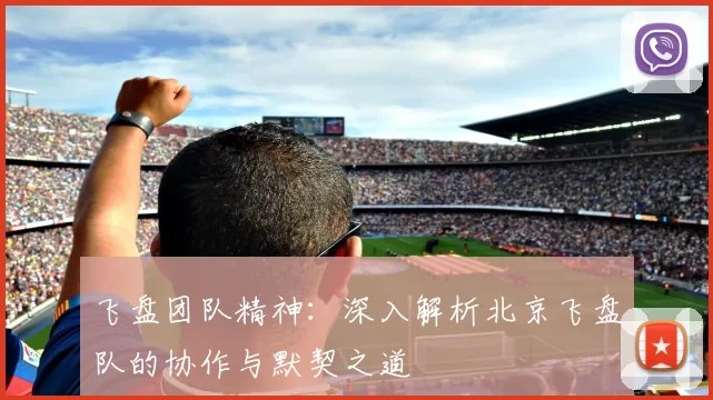 飞盘团队精神：深入解析北京飞盘队的协作与默契之道