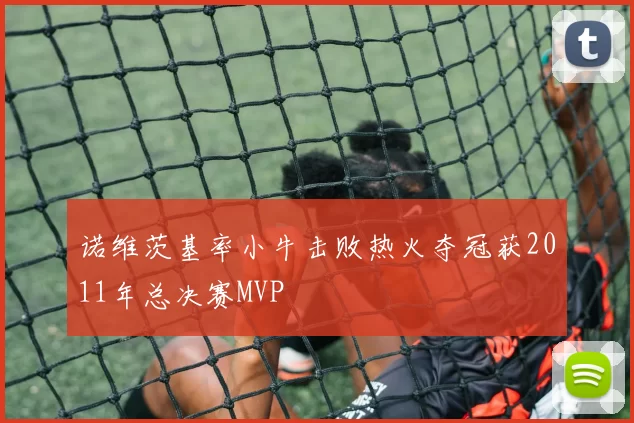 诺维茨基率小牛击败热火夺冠获2011年总决赛MVP